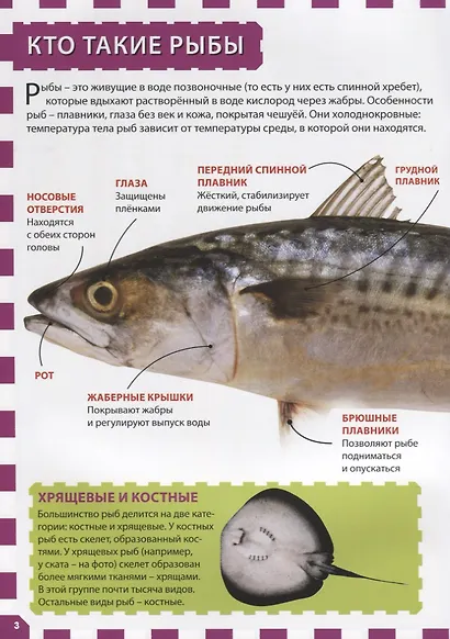 Подводный мир - фото 4