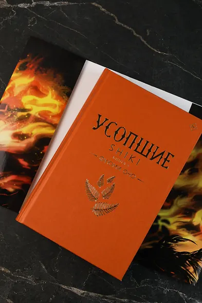 Усопшие. Книга 5 (Shiki). Ранобэ - фото 8