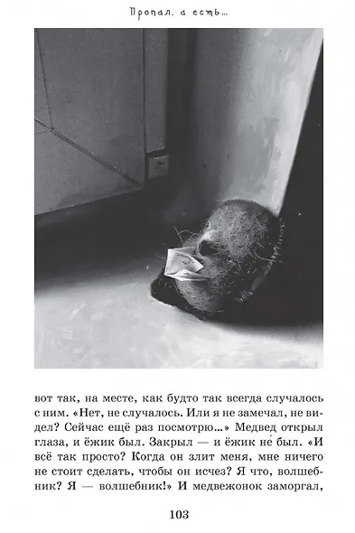 Зежик и Медвед. Сказки о нас - фото 4