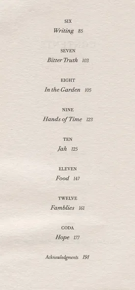 Almost Everything. Notes on Hope - фото 3