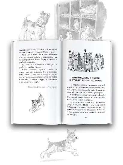 Дневник фокса Микки. Повести - фото 6