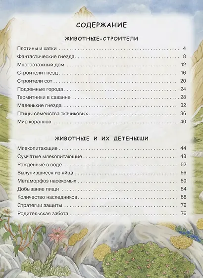 Закадки животного мира - фото 2