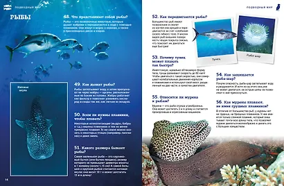 Подводный мир - фото 13