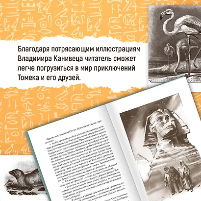 Томек в стране фараонов - фото 6