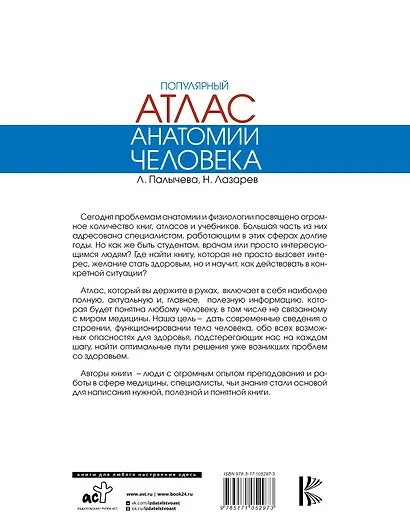 Популярный атлас анатомии человека - фото 2