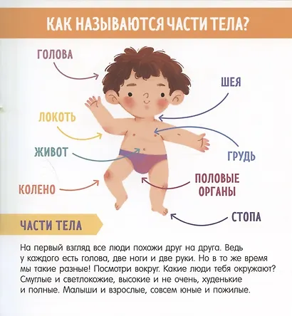 Найди и покажи, малыш. Мое тело - фото 3
