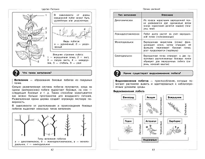 Биология - фото 10