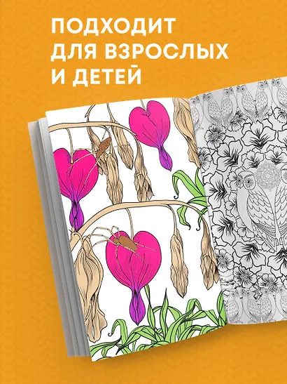Загадочный лес.Мини-раскраска-антистресс для творчества и вдохновения - фото 7
