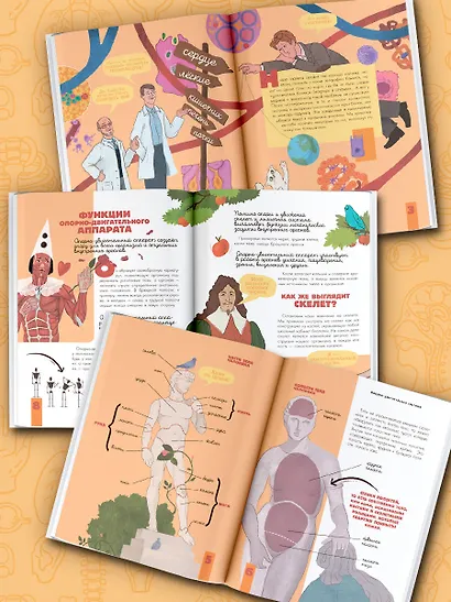 Тело человека - фото 4