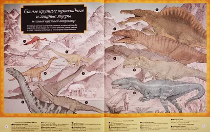 Высокая гора. Глубокий океан. Иллюстрированный сборник чудес природы - фото 3