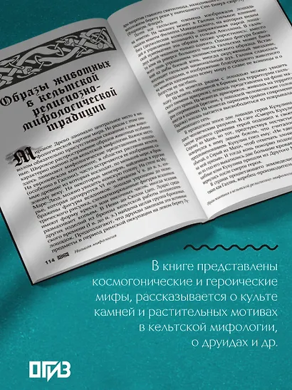 Мифы кельтских народов. Боги, герои, силы природы, символы, мотивы, ритуалы, друиды - фото 6