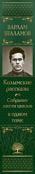Колымские рассказы. Собрание шести циклов в одном томе - фото 9