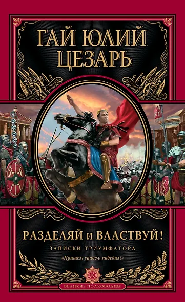 Разделяй и властвуй! Записки триумфатора - фото 1