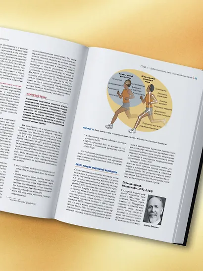 Психология спорта. Фундаментальные основы - фото 7