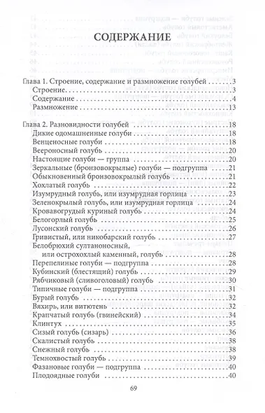 Голуби - фото 3