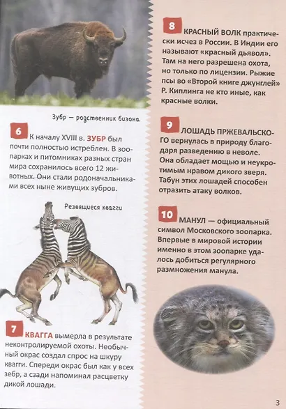 Красная книга. 250 фактов. Энциклопедия российского школьника - фото 4