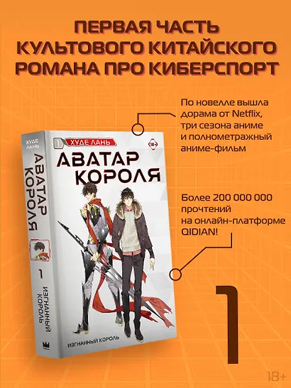 Аватар короля. Изгнанный король. Книга 1 - фото 4