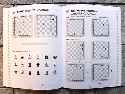 Рабочая тетрадь по шахматам. 154 практических задач для решения и 65 развивающих заданий - фото 6