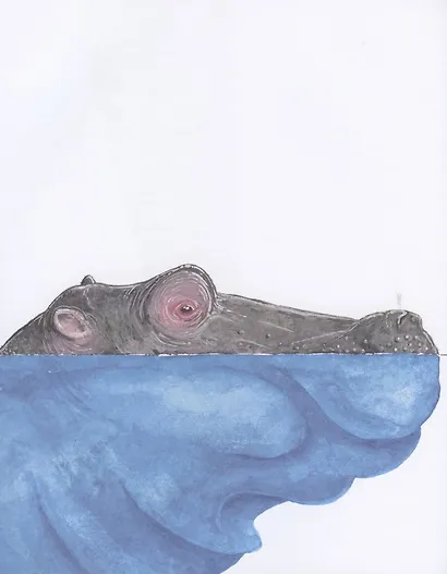 Большой вопрос маленького хамелеона - фото 8