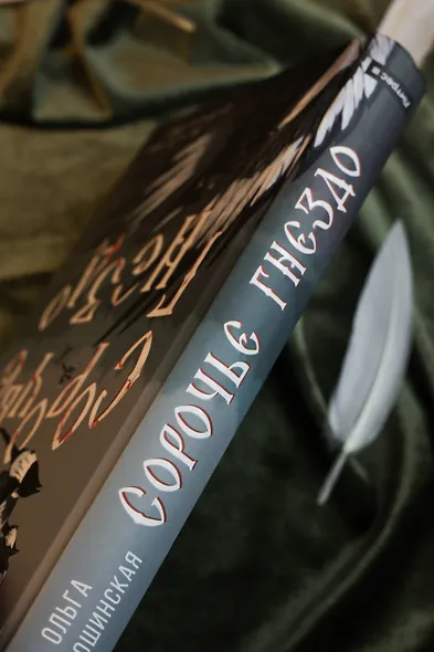 Сорочье гнездо - фото 7