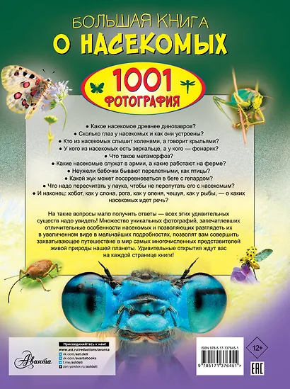 Большая книга о насекомых. 1001 фотография - фото 2
