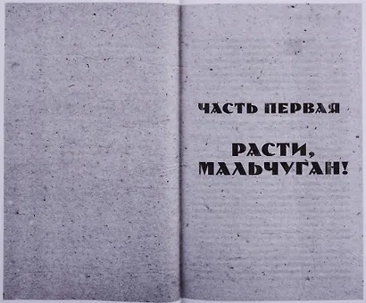 История Победы. Улица младшего сына - фото 6