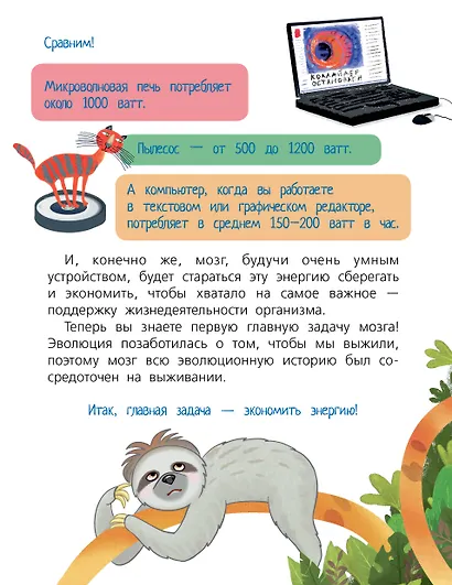 Мозг - фото 7