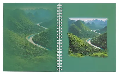 Тетрадь 96л кл. "Таинственная природа" гребень, мел.картон, выб.лак. 2-я обложка-разделитель: мел.картон, ассорти - фото 3