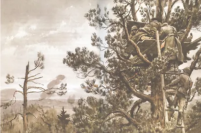 Сын полка (илл. Верейского) - фото 3