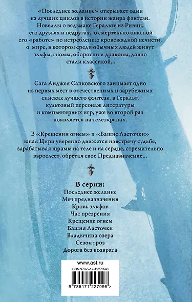 Ведьмак. Крещение огнем. Башня ласточки - фото 2