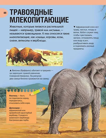 Большая энциклопедия знаний - фото 9