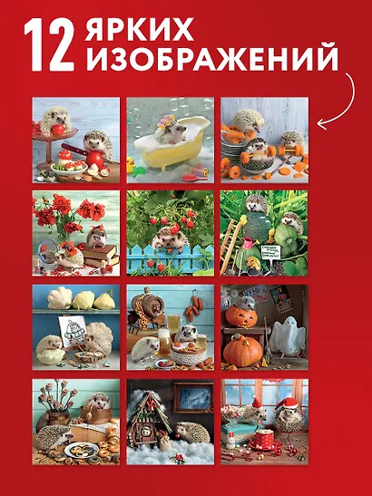 Ёжекалендарь. Мандаринки со сливками. Календарь настенный на 2027 год (300х300) - фото 4