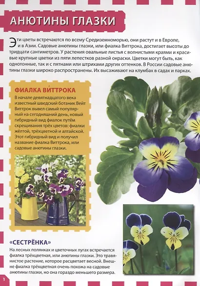 Цветы - фото 2