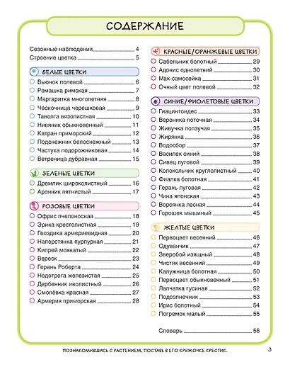 Цветы - фото 8