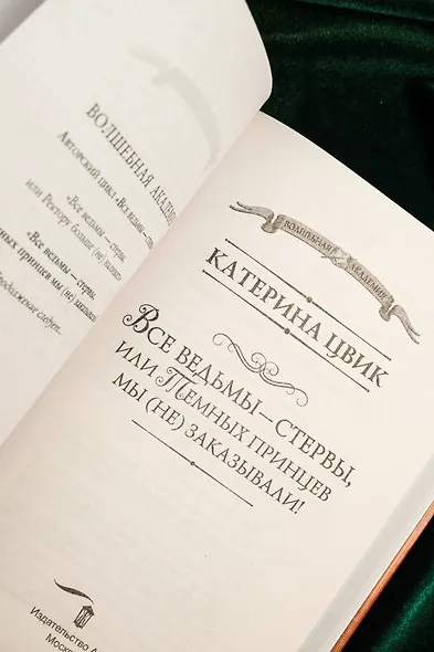 Все ведьмы – стервы, или Темных принцев мы (не) заказывали! - фото 7