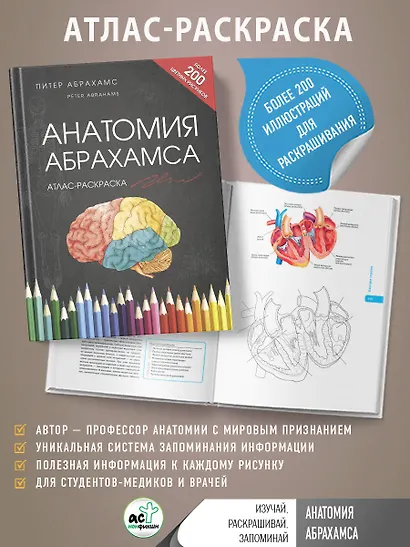 Анатомия Абрахамса. Атлас-раскраска - фото 4