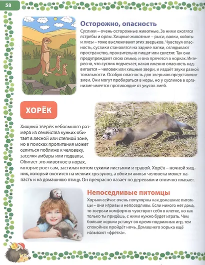 Большая книга о животных. Иллюстрированная энциклопедия - фото 5