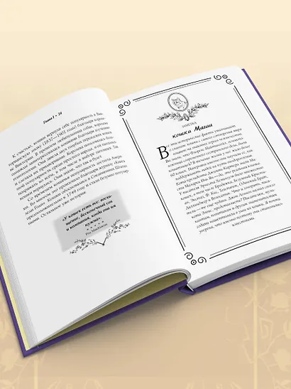 Магия кошек. Ритуалы, заклинания и чары для котиков и их людей - фото 10