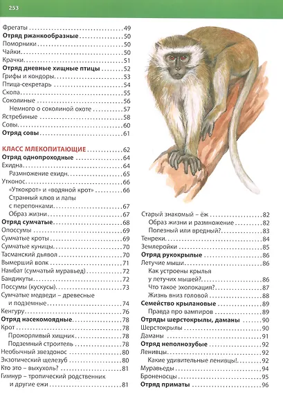 Животные. Большая детская энциклопедия - фото 3
