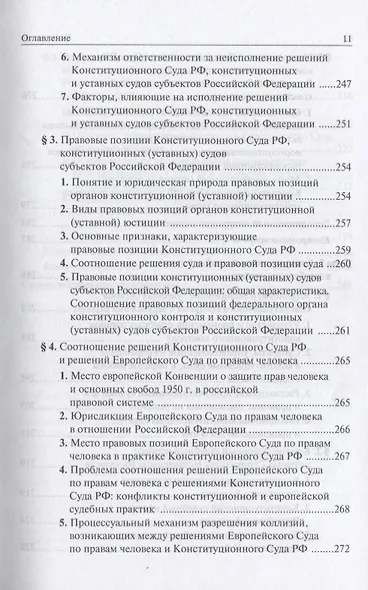Конституционный судебный процесс - фото 7