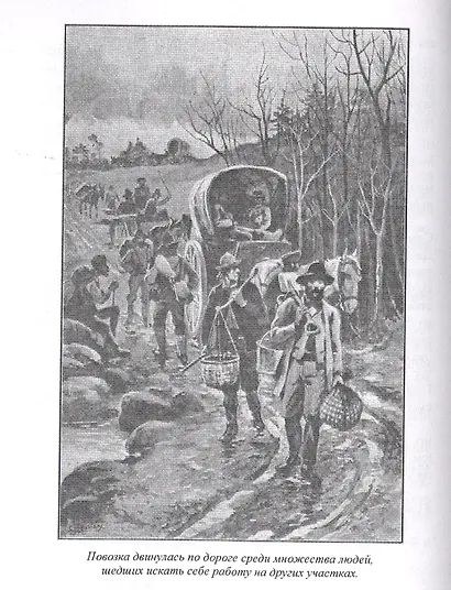 Золотой вулкан - фото 4