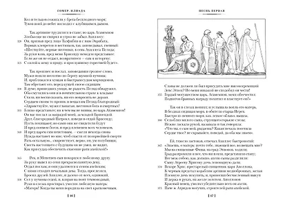 Илиада. Одиссея - фото 5