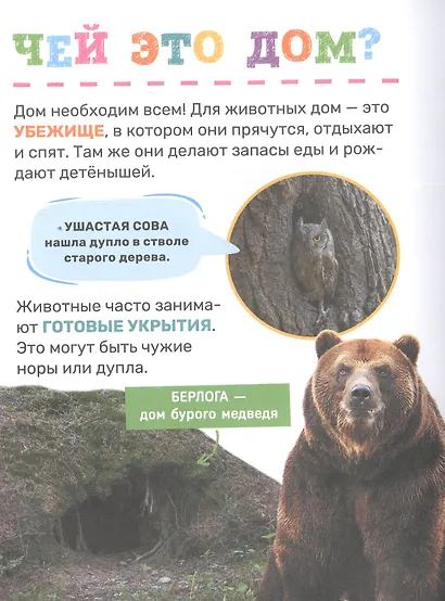 Животные - фото 6