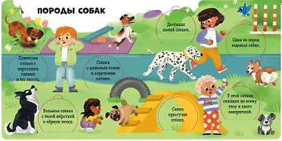 Любимые животные. Энциклопедия с окошками - фото 5