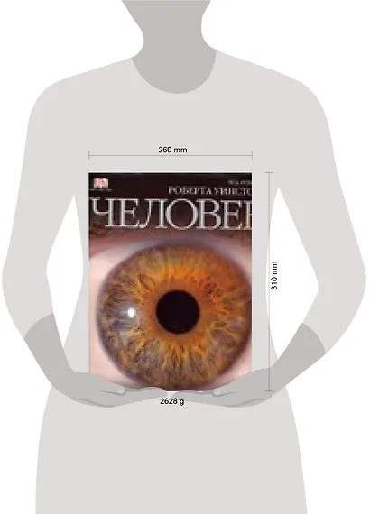 Человек: Полный иллюстрированный путеводитель - фото 2