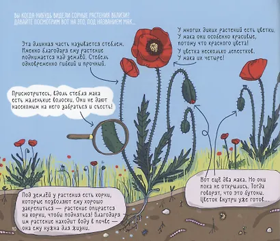 Сорные травы - фото 6