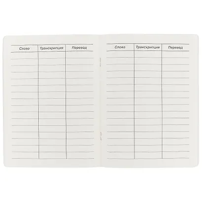 Тетрадь для записи английских слов Айрис, "Мяу", А5, 24 листа - фото 2