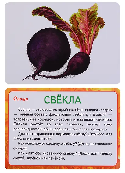 Овощи, фрукты, ягоды - фото 3