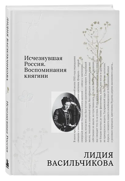 Исчезнувшая Россия. Воспоминания княгини - фото 3