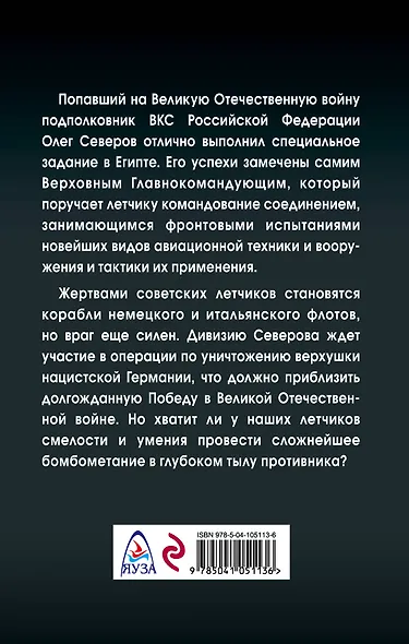 Сталинский сокол. Комдив - фото 2